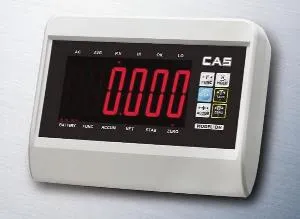 Индикатор Cas Dh – купить по цене завода