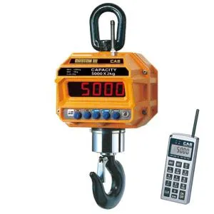 Весы крановые Cas 10 THD TW-100 с пультом ДУ (10т/5кг) – купить в Санкт-Петербурге по цене завода