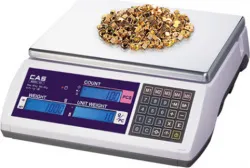 Весы счетные Cas EC-30 – купить в Санкт-Петербурге с доставкой Купить весы счетные cas ec-30 в Санкт-Петербурге – цена завода, доставка до двери | RuOborudovanie.ru