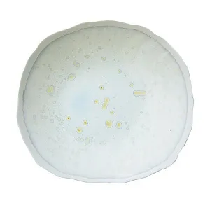 Тарелка мелкая 26СМ, керамика, цвет Nacre, Plume 963037 – купить по цене завода