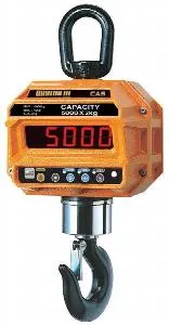 Весы крановые Cas 1 THD (1т/0,5кг) IP65 электронные – купить в Санкт-Петербурге по цене завода