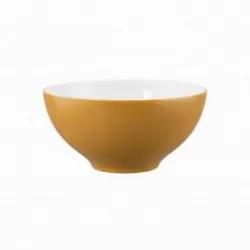Салатник Seltmann Weiden Life Amber Gold 65015 15,5 СМ 001.757421 – купить в RuOborudovanie.ru с доставкой до двери Купить салатник seltmann weiden life amber gold 65015 15,5 см 001.757421 – цена от завода, доставка до двери | RuOborudovanie.ru