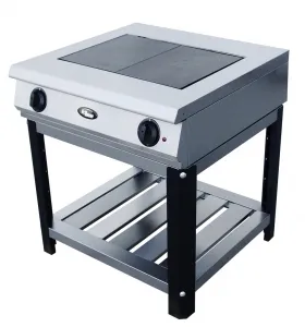 Плита 2 конфорочная Grill Master ф2жтлпэ 24010 – купить в Санкт-Петербурге по цене завода