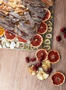Дегидратор Kocateq DHFD16 для овощей с 16 уровнями 39,6х39,6см (сушилка) – купить в Санкт-Петербурге по цене завода