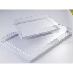 Поднос 59Х39СМ H6См, пластик, с прозрачной крышкой Vc60X40 – купить в RuOborudovanie.ru с доставкой до двери Купить поднос 59х39см h6см, пластик, с прозрачной крышкой vc60x40 – цена от завода, доставка до двери | RuOborudovanie.ru