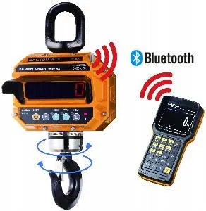 Весы крановые Cas 2 THD TWN (2т/1кг) IP65 электронные – купить в Санкт-Петербурге по цене завода