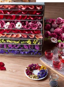 Дегидратор Kocateq DHFD10 для овощей с 10 уровнями 39,6*39,6см (сушилка) – купить в Санкт-Петербурге по цене завода
