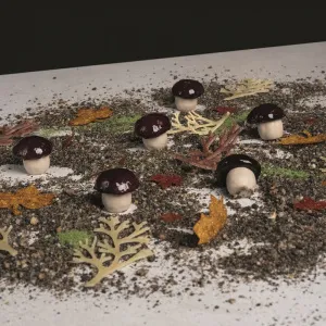 Форма силиконовая "Gourmand гриб" 28Х29ММ H27Мм, 8мл, 40 ячеек Gg025S – купить по цене завода