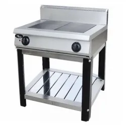 Плита электрическая Grill Master Ф2ПЭ/600 (открытый стенд) – купить в RuOborudovanie.ru с доставкой до двери Купить плита электрическая grill master ф2пэ/600 (открытый стенд) – цена от завода, доставка до двери | RuOborudovanie.ru