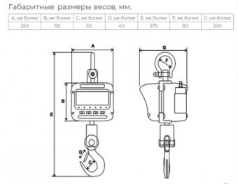 Весы крановые Невские весы ВСК-5000В (5 тонн) – купить в Санкт-Петербурге по цене завода