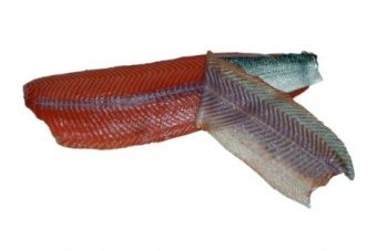 Шкуросъёмная машина для рыбы Nock Cortex CBF 496 SALMON – купить в Санкт-Петербурге по цене завода