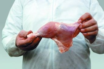 Шкуросъёмная машина Nock Cortex CBP 496 POULTRY – купить в Санкт-Петербурге по цене завода